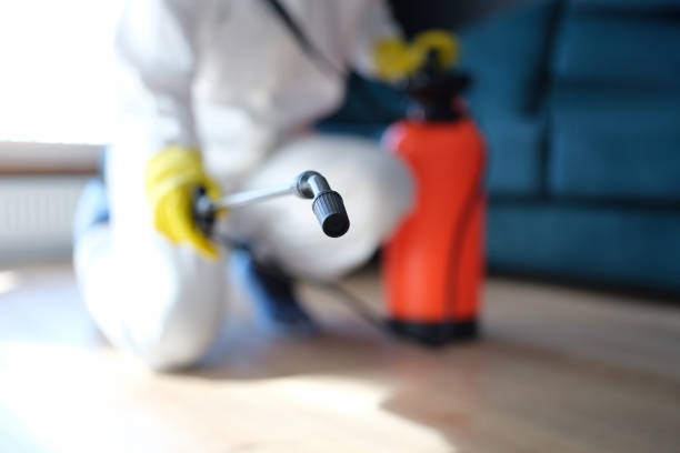 Mold Odor Removal Services in Fayetteville, GA